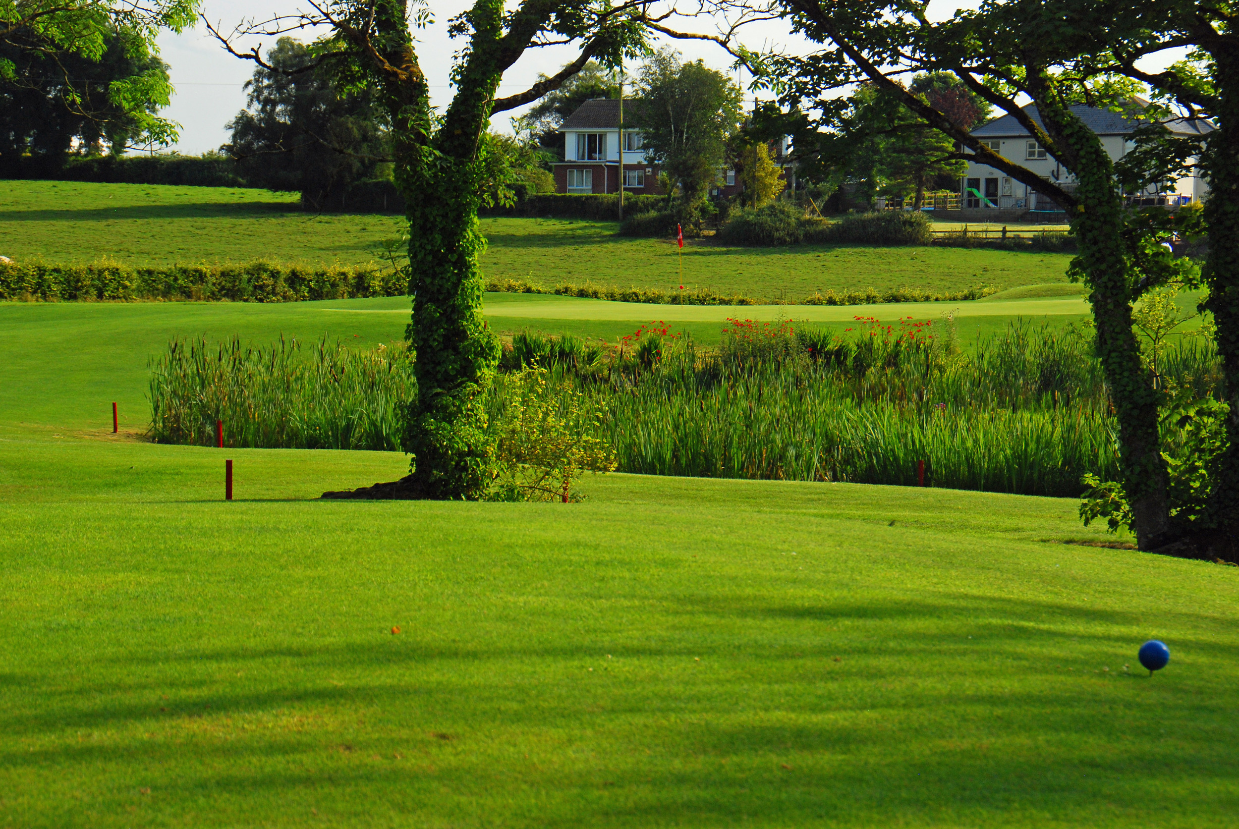 Lush green golf course with trees, pond, and distant houses under a clear sky. Ideal golf day scenery.