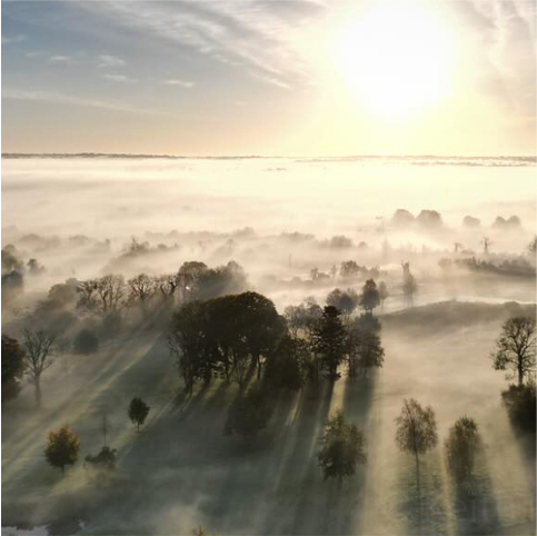 Foggy forest at sunrise with sun rays creating dramatic shadows on the misty landscape.