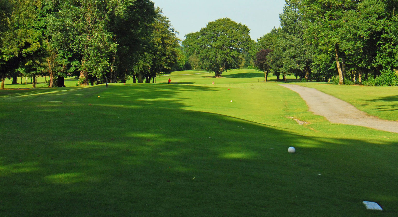 Golf course with lush green fairway, trees, and a winding path under a clear sky. Ideal setting for a relaxing game.
