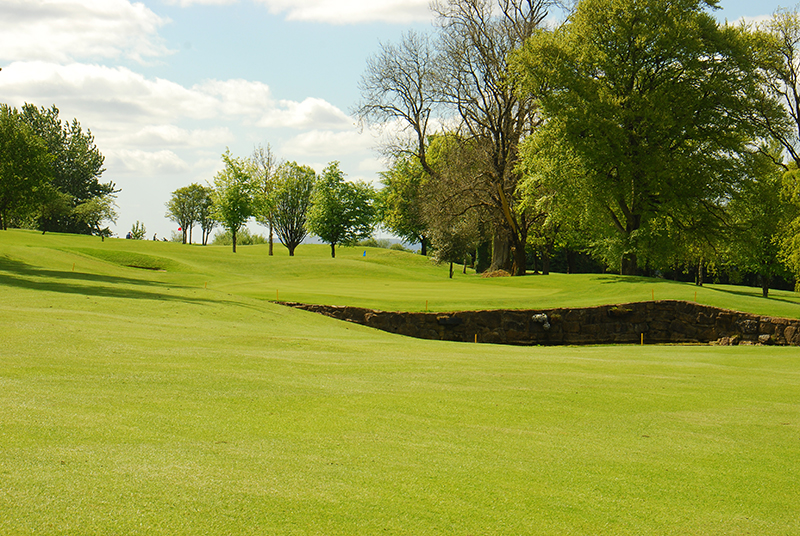 Golf course landscape with green fairways, trees, and a cloudy sky. Ideal for outdoor sports and leisure activities.
