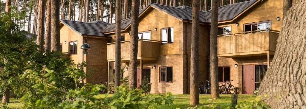 Woodland cabins surrounded by tall pine trees, featuring balconies and a peaceful outdoor setting.